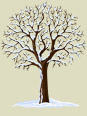 иконка дерево зимой